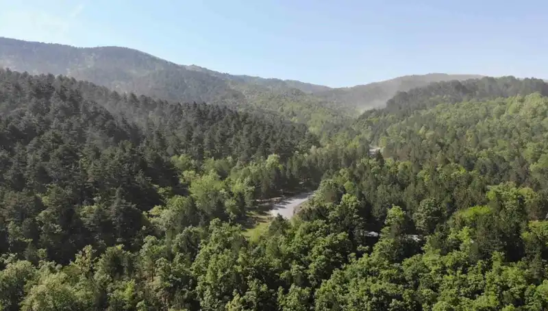 2025'te Ormana Giriş Yasağı Uygulanan İllerde Son Durum