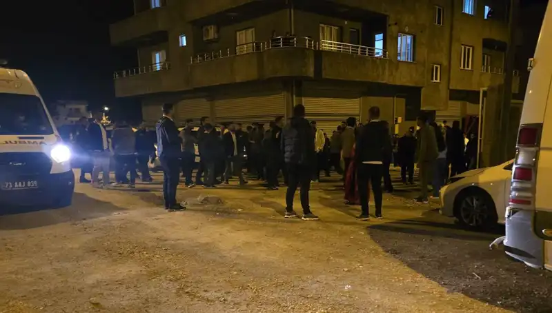 Şırnak'ta Taşlı ve Sopalı Kavgada 4 Kişi Yaralandı: Olayın Ayrıntıları