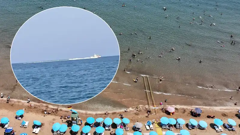 Plajda Köpek Balığı Korkusu: Sahil Boşaltıldı, Gerçek Tersine Döndü
