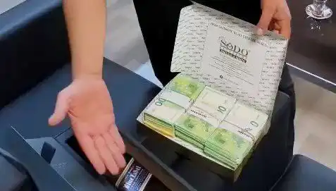 Manavgat Belediyesi'nde Şok Operasyon: Baklava Kutusuyla Taşınan Avrolar Ele Geçirildi