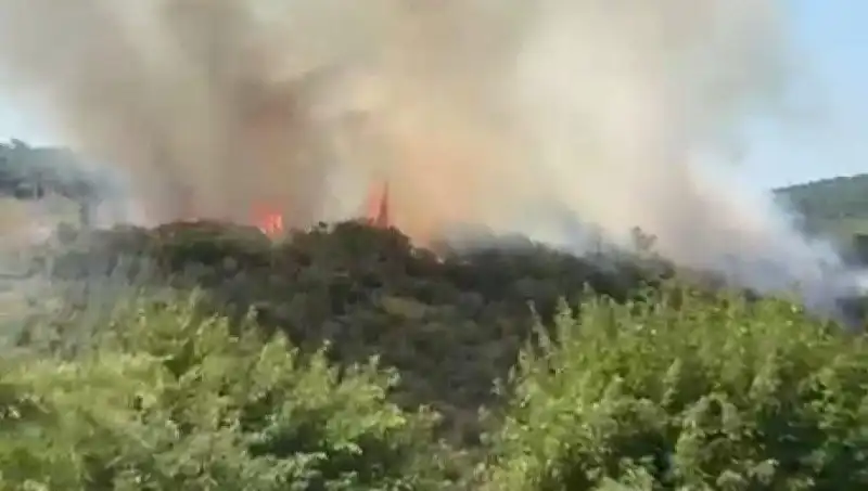 İstanbul'da Orman Yangını: Acil Tahliye Süreci Başlatıldı!