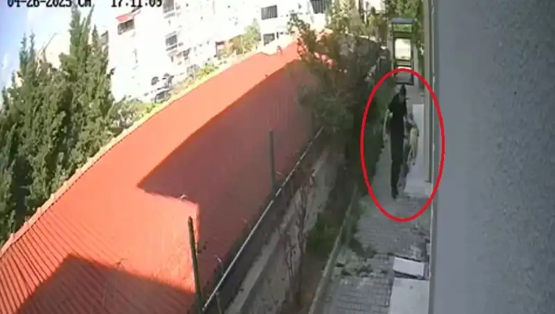 Hayvansever Dünyasında Şok Etki Yaratan Olay: Veteriner Doktor Tutuklandı