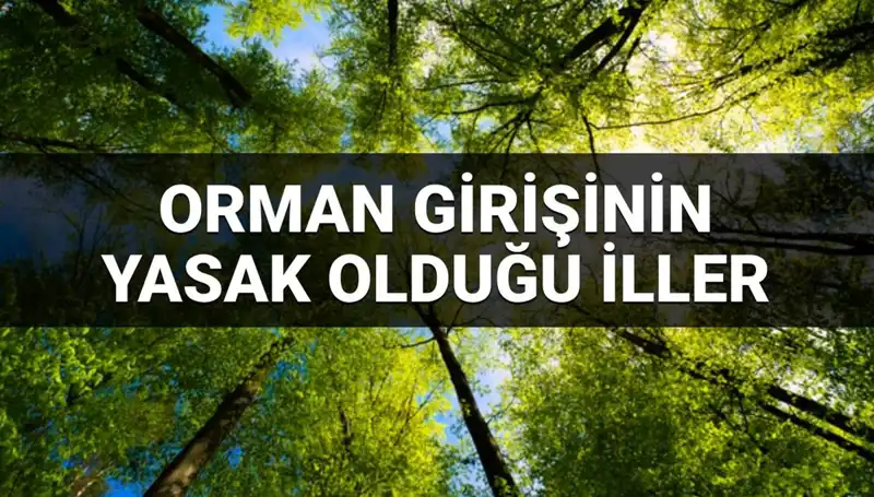 2025'te Ormana Girmesi Yasak Olan İllerin Listesi Açıklandı