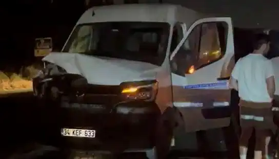 İstanbul’da Manda Kazası: Üç Kişi Yaralandı, Olayın Detayları Korkutucu