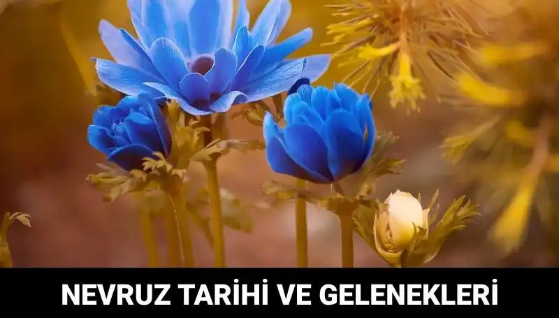 Nevruz Bayramı: Gelenekler ve Kutlama Tarihleriyle Birleşen Kültürel Miras
