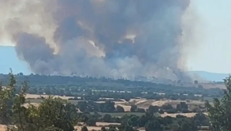 Komşumuzdaki Orman Yangını Edirne’yi Tehdit Altında Bıraktı!