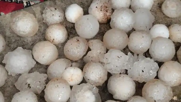 Şanlıurfa'da Kar Topu Büyüklüğünde Dolu Yağışı Şok Dalgası Yarattı