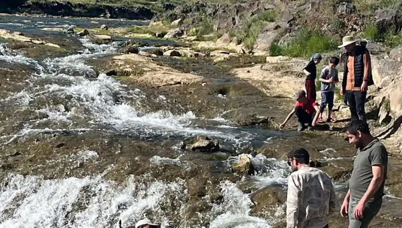 İnci Kefalinin Göçü: Doğanın Büyüsü ve Turistlerin İlgi Odağı