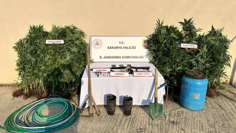 Sakarya’da Şok Uyuşturucu Operasyonu: Bir Şahıs Tutuklandı