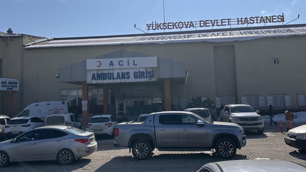 Başıboş Köpeklerin Saldırısında Ölen Çocuk Olayı İçin Müfettiş Görevlendirildi