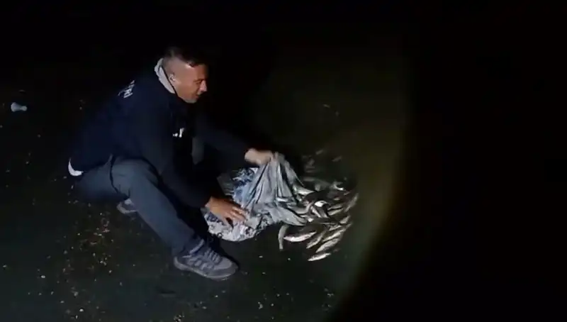 İnci Kefali Avında Tarihi Rekor: Bir Ton Balık Yakalandı!