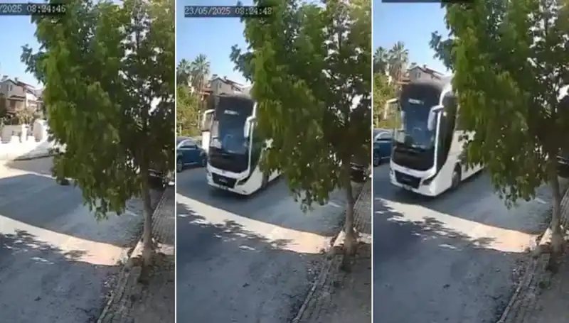 Yolda Yatan Köpeği Ezip Geçen Sürücü, Hayvan Haklarını Tartışmaya Açtı