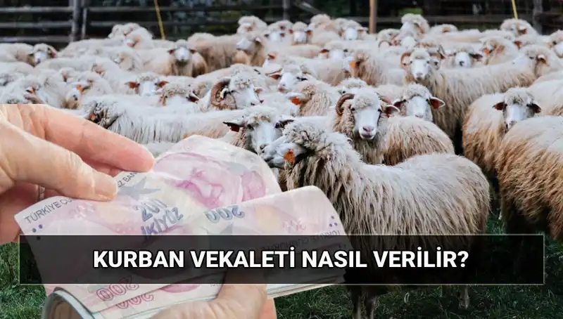 2025 İçin Vekaletle Kurban Kesimi: Nasıl Yapılır ve Bedelleri Neler?