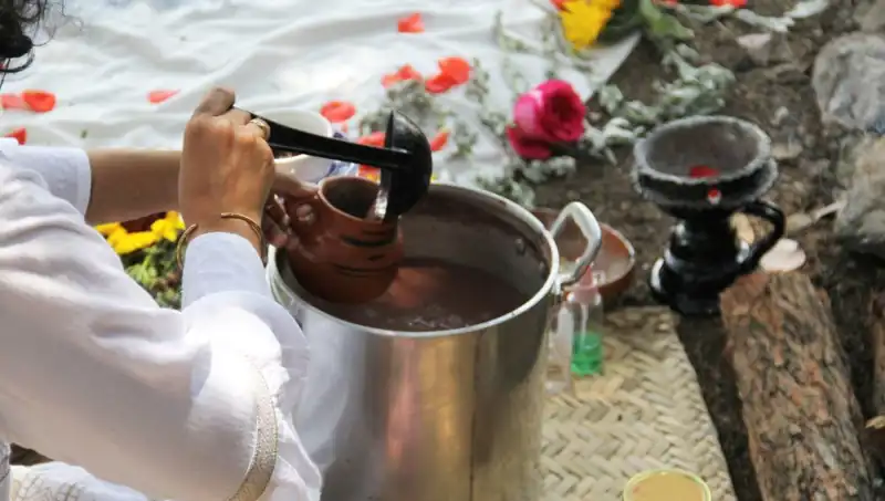 Ayahuasca: Transandina Ritüelinden Modern Şifaya Uzanan Yolculuk