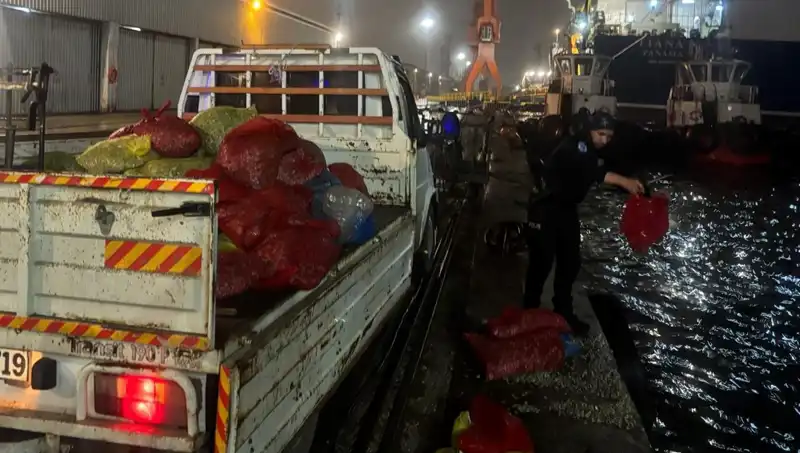 İspanya'da Kaçak Midye Operasyonu: Harekete Geçildi!