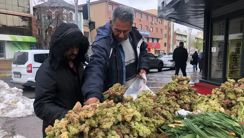 Kendiliğinden Yetişen Vitamin Deposunun Şaşırtıcı Kanser İlacı Etkisi