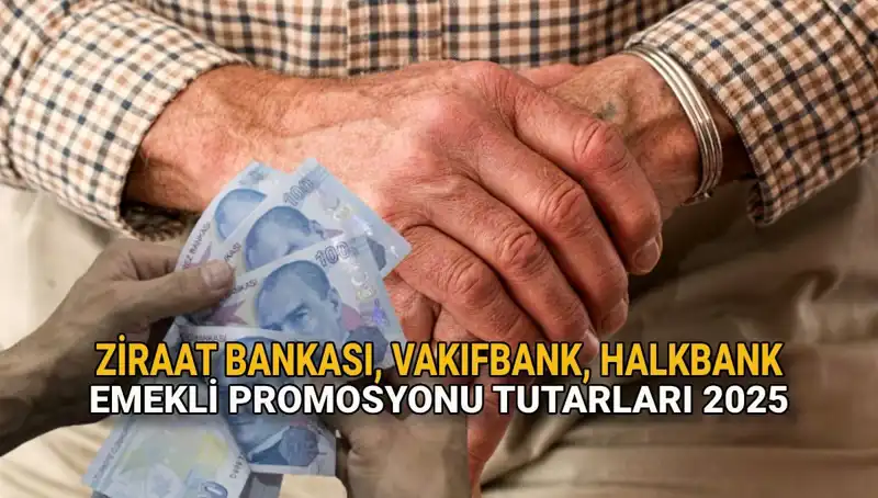 Emekli Banka Promosyonları 2025: Kamu Bankalarının Sunmuş Olduğu İnanılmaz Fırsatlar