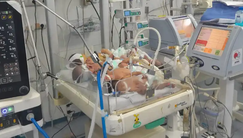 Gazzeli Doktorların Çağrısı: Aynı Kuvözde Birden Fazla Bebek Yaşıyor!