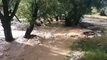 Mersin'de Yağmur Alarmı: Sağanak Sele Dönüştü, Hayat Durma Noktasına Geldi!