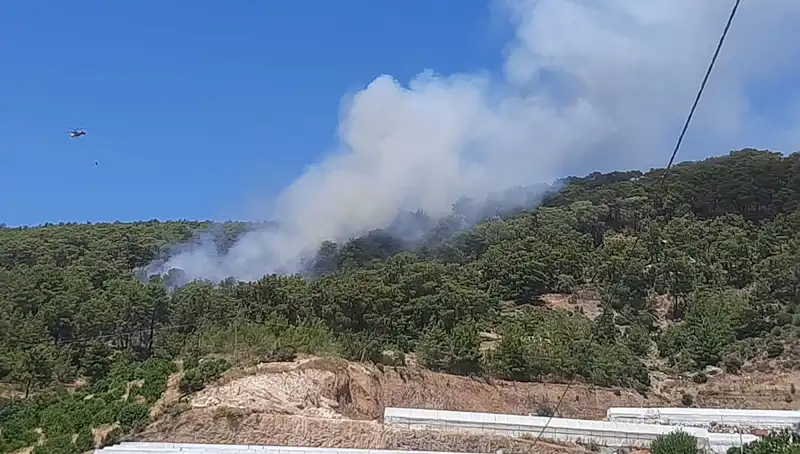 Kumluca’da Orman Yangını: Doğanın Güzellikleri Tehlikede!