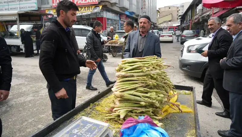 Şeker ve Kanserle Mücadelede Doğanın Mucizesi: Dağlık Bölgeden Toplanan Şekerin Faydaları