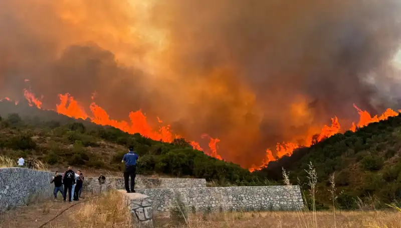 Bursa, Kocaeli ve İzmir'de Orman Yangınları: Doğa Alarm Veriyor