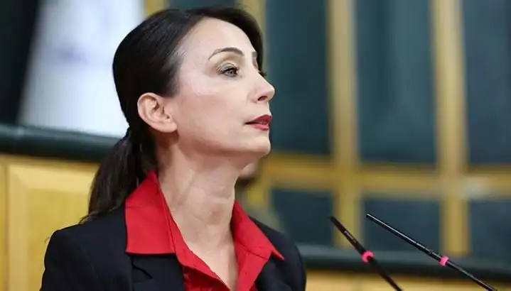 Öcalan'ın Silah Bırakma Çağrısı ve DEM Parti'nin Tarihi Tur Programı