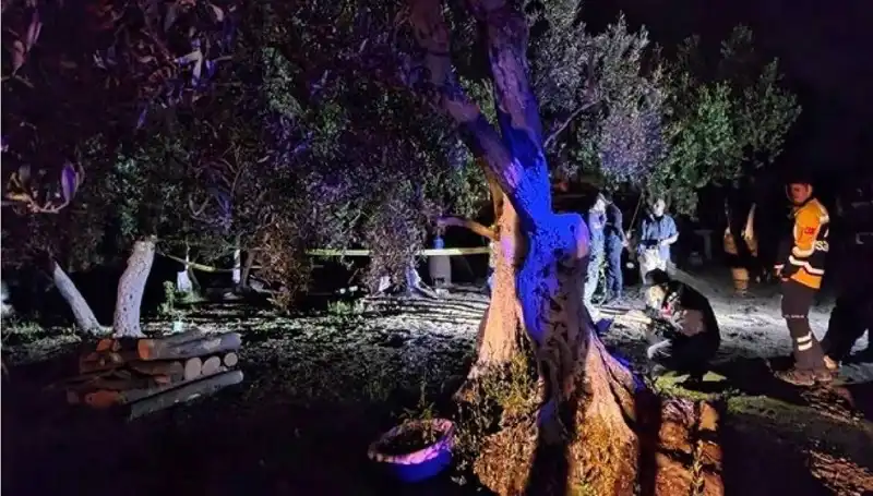 Çiftlikteki Baltalı Vahşete İki Kişi Tutuklandı: Olayın Detayları Neler?
