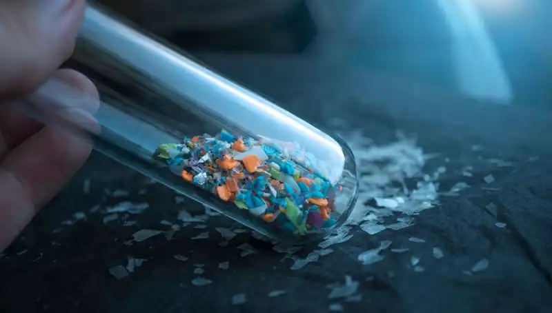 Mikroplastikler İnsan Beynine Ulaşıyor: Sağlığımıza Etkileri Neler Olacak?