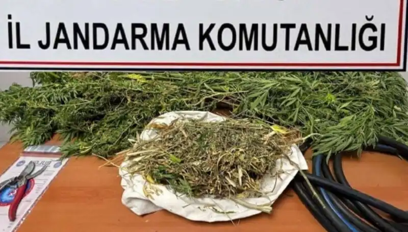 Niğde'de Uyuşturucu Ticareti: 150 Kilogram Esrar Ele Geçirildi