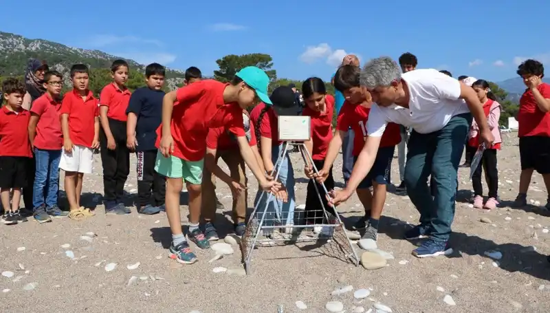 Kemer’de Caretta Caretta Koruma Yasakları Başladı: Plajlar Artık Güvende!