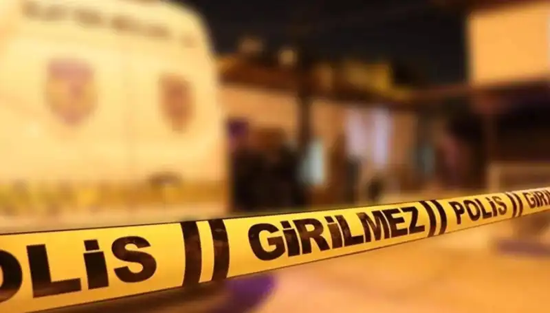 Diyarbakır'da Kayınpeder Dehşeti: Bir Ailenin Karanlık Sırları Ortaya Çıktı