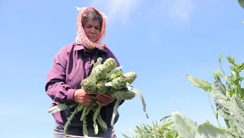 Tarladan Sofralara: 50 TL'den Satılan Ürünlerin Artan Popülaritesi