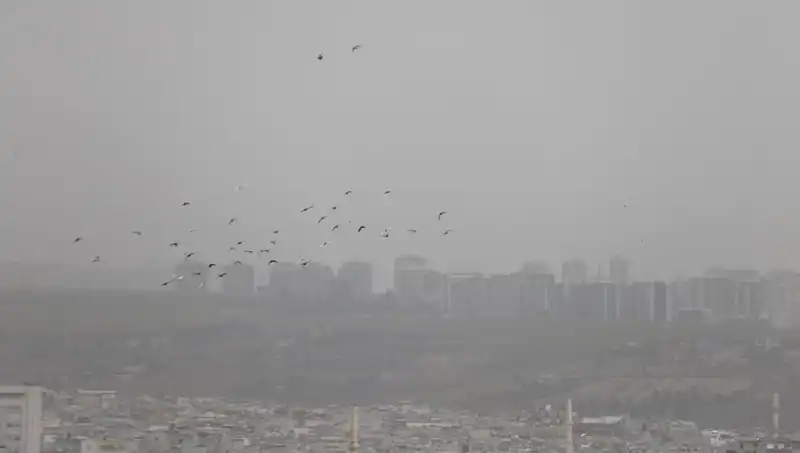 Şanlıurfa'da Toz Bulutu: Kentte Görüş Mesafesi Sıfıra İndi