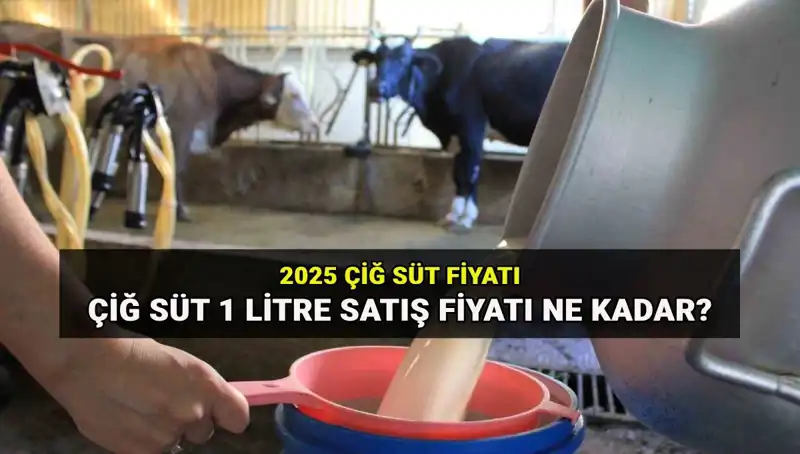 Çiğ Süt Fiyatları 2025 Yılı İçin Güncellendi: 1 Litre Süt Ne Kadar?