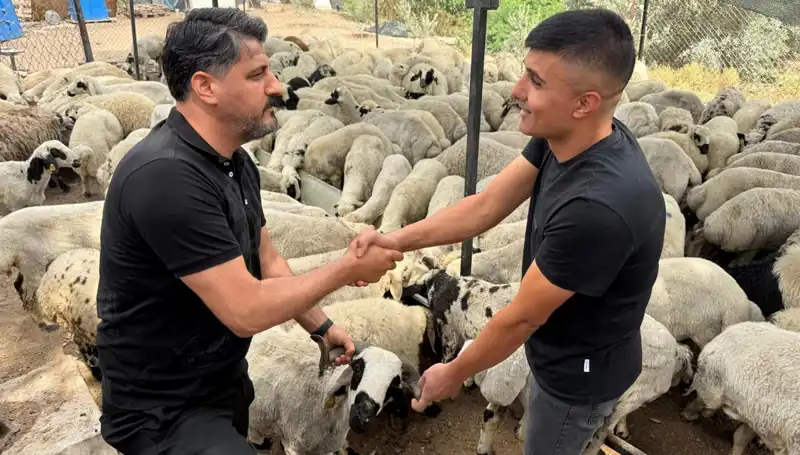 Kurbanlık Alırken Dikkat Edilmesi Gerekenler: Tuz ve Sumak Uyarısı!