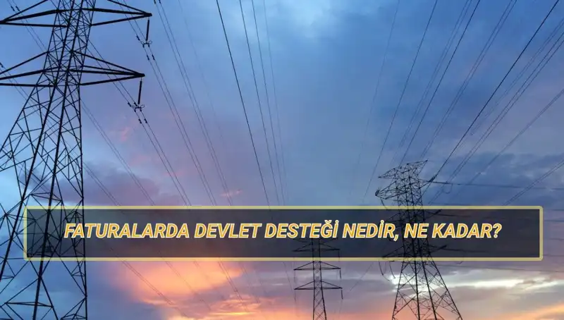 2025'te Devlet Destekli doğalgaz ve elektrik faturaları: Kimler Faydalanacak?