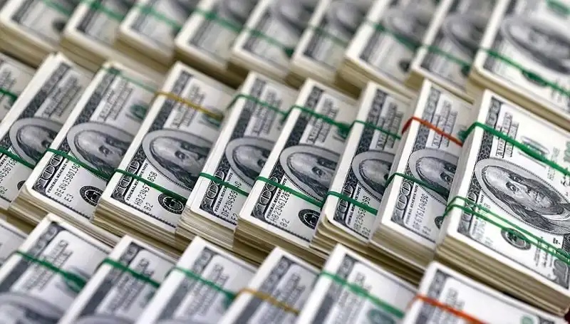 Doların Hızla Yükselmesi: Ekonomik Tedirginlikleri Artıran Uyarılar