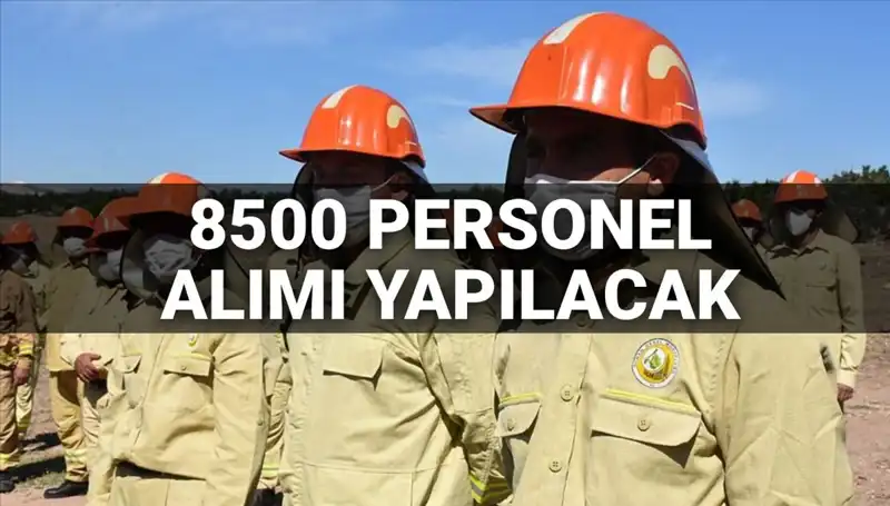 2025 Tarım ve Orman Bakanlığı Personel Alımı: 8500 Kişi İçin Şartlar Açıklandı!