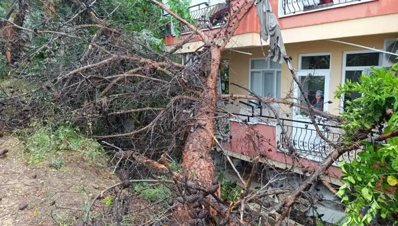 Yağmur Sonrası Çöken Bina: Faciaya Neden Olmadı Ama Korkuttu
