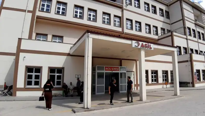 Bolu'da Ayı Avı Tartışmaları: Doğa Koruma mı, Tarım Koruma mı?