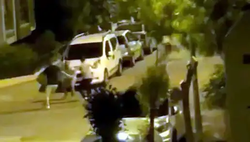 Avcılar'da 3 Kişinin Saldırısına Uğrayan Vatandaşı Cesur Kalabalık Kurtardı