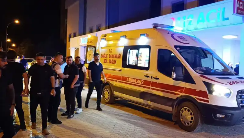 Kardeşi Kavga Ederken Müdahale Eden Genç Hayatını Kaybetti