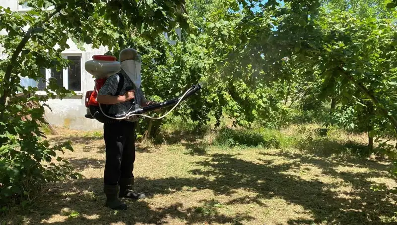 Kükürt ve Samuray Arısı: Çiftçinin Mücadelesinin Yeni Kaynağı