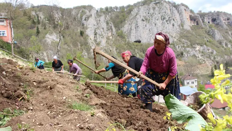Zorlu Mesai Başladı: Sırtlarda Sepet, Ellerde Kazmalar ile Yeni Bir Serüven