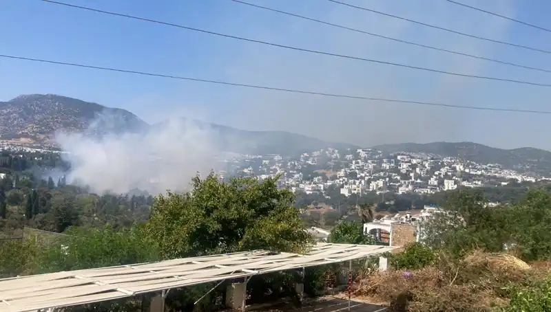 Muğla'nın Orman Yangınları Kontrol Altına Alındı, Durum Nedir?