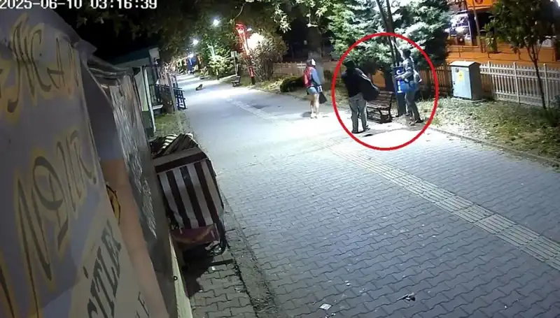 Aydınlatma Direklerindeki LED Işıkları Sökerek Şok Eden Zarara Neden Oldu