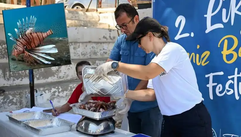 Antalya'da İstilacı Aslan Balığı Avlama Yarışması: Ekosistemi Korumak İçin Bir Adım