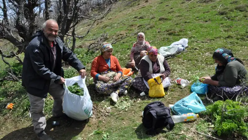 Doğanın Cömertliği: Her Gün 5 Saat Yürüyerek Kazanıyorlar