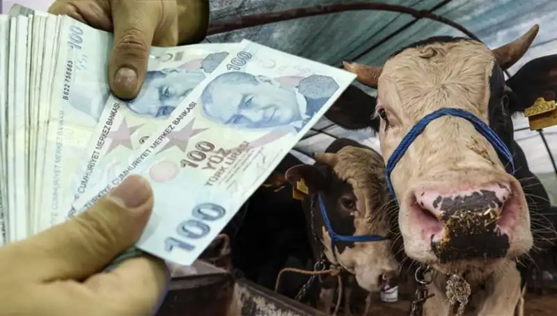 Kurban Bayramı Öncesi Maaşlar Yatacak mı? Emeklilere Müjde